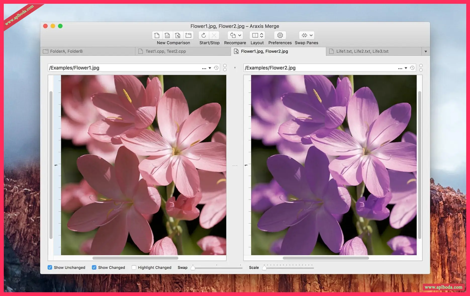 1694938286-2369c41e69c7be7