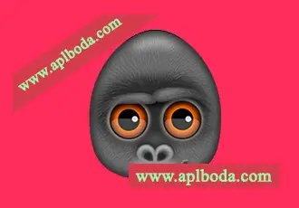 Debookee for Mac(网络数据抓包分析工具)v8.2.0