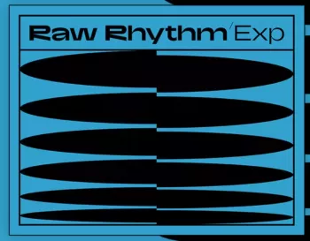 切碎浩室套件 Native Instruments Rhythm Maschine Expansion