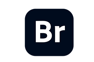 Adobe Bridge 2025 for Mac(BR 2025)v15.0.3中文版