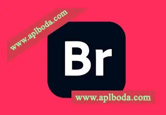 Adobe Bridge 2025 for Mac(BR 2025)v15.0.3中文版