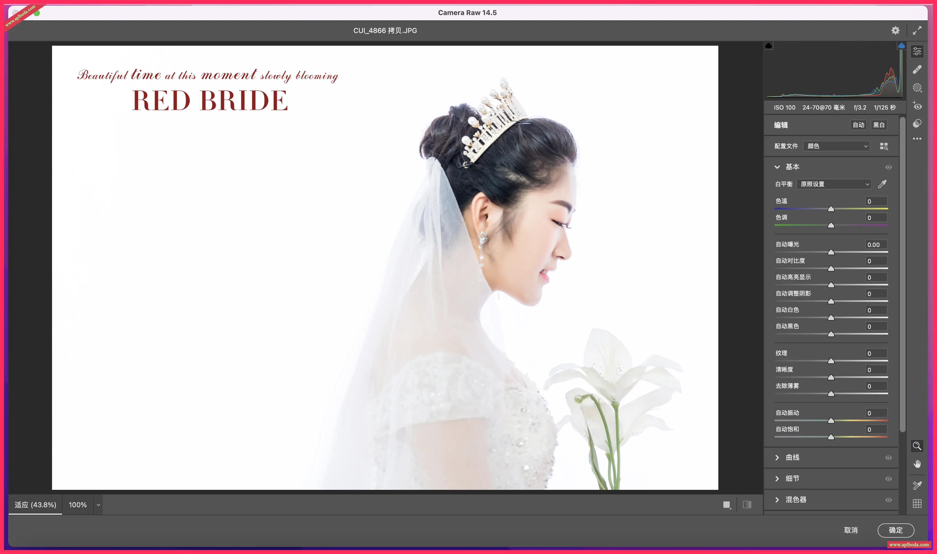 1694946421-dcfd13ebe7c2489