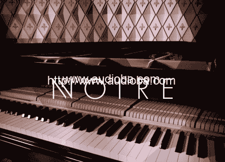 殿堂三角钢琴 Native Instruments Noire v1.2.1[KONTAKT] 完整