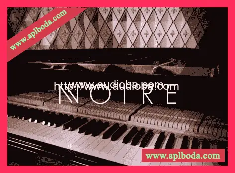 殿堂三角钢琴 Native Instruments Noire v1.2.1[KONTAKT] 完整