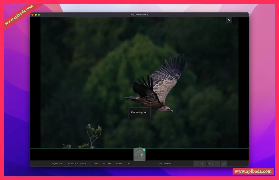 1694936320-13c3c9edb23e864