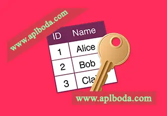 MDB ACCDB Viewer for Mac(MDB文件编辑器)v2.2.7