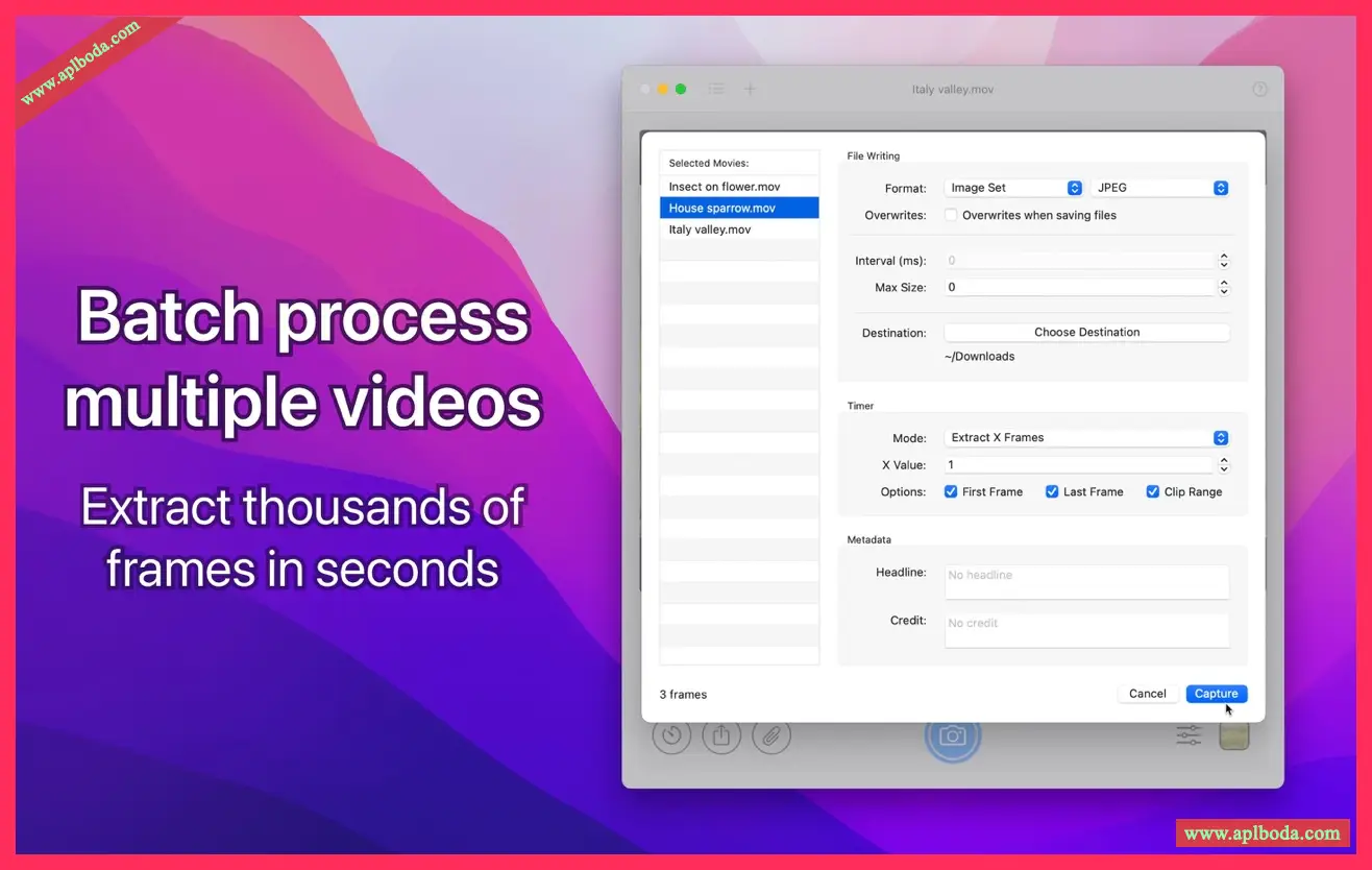 1694882775-cb501598e0939de