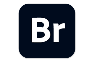 Adobe Bridge 2025 for Win(BR 2025)v15.0.3.525中文直装版