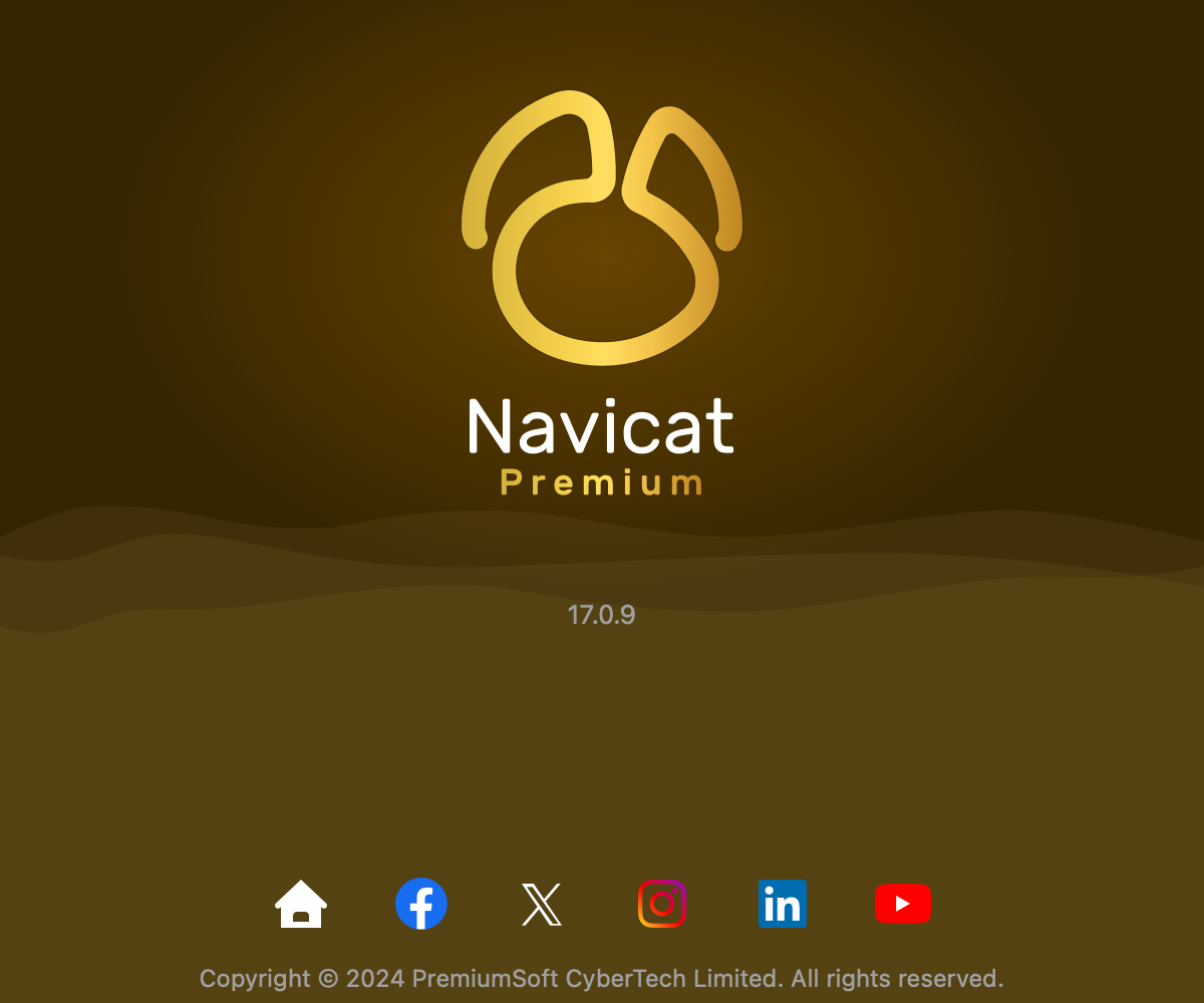 Navicat Premium v17.2.9 for Mac(专业的数据库管理工具)中文汉化版
