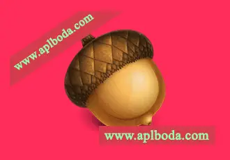 Acorn (v8.2.2) for Mac(图像处理软件)最新直装版