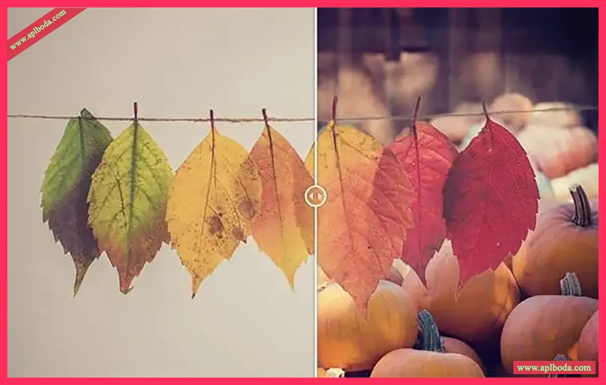 Topaz Mask AI 1.3.9（汉化版）for Win 图像智能抠图神器ps插件