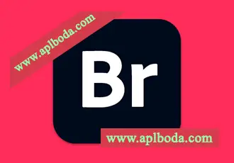 Adobe Bridge 2026 for Win(BR 2026)v16.0.0中文直装版