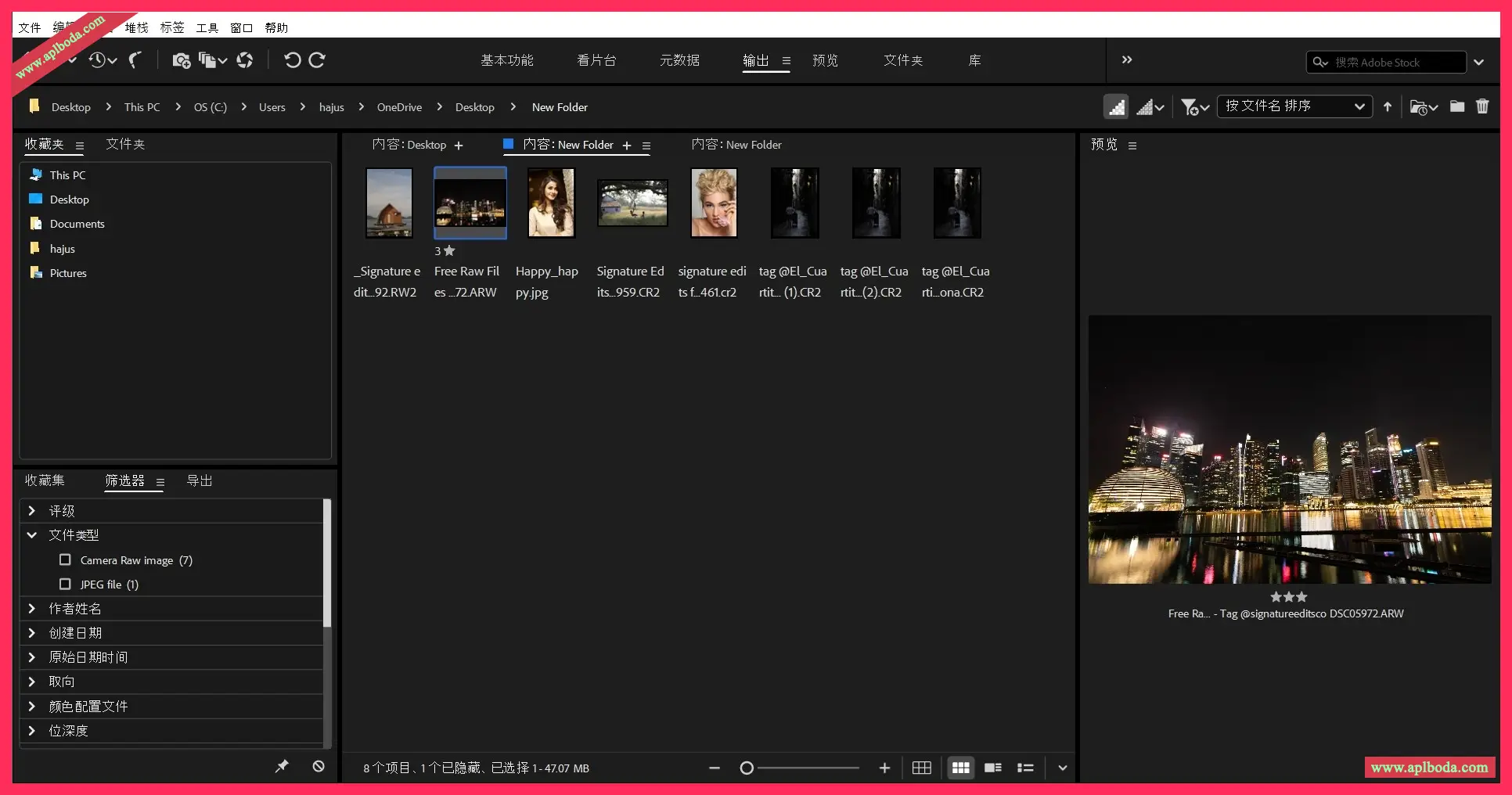 Adobe Bridge 2025 for Win v15.1.1 Br2025文件管理浏览软件 最新中文直装版