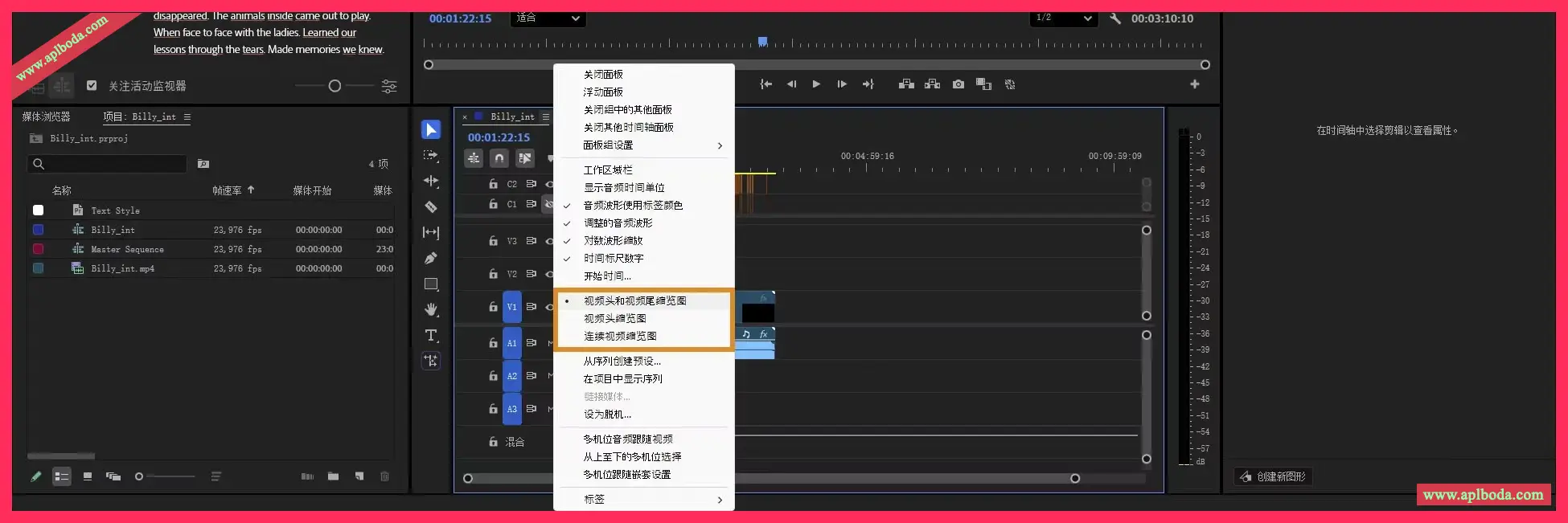 Adobe Premiere Pro  2025 (v25.5.0.013) for Win 视频剪辑软件 直接安装 中文版