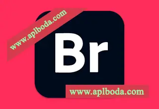 Adobe Bridge 2026 (v16.0.1.18) for Win中文资源管理软件直装版